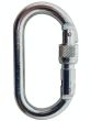 Foin 10mm Steel Oval Screwgate Karabiner